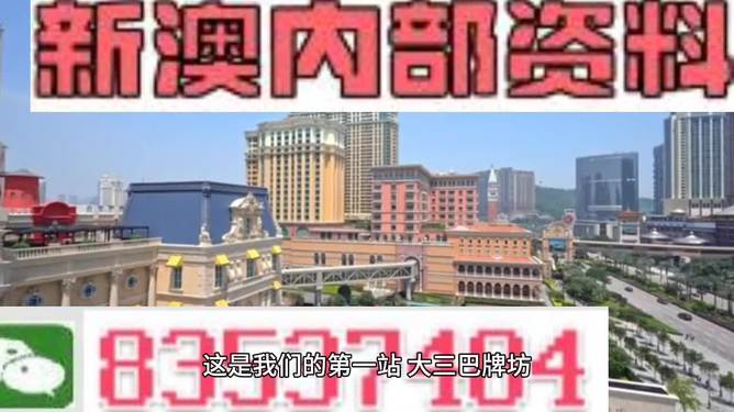 新澳门资料大全正版资料2024-2025年最新版下载，精选解释与落实策略