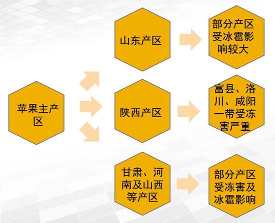 2024-2025澳门特马揭晓，精选解释解析与落实策略