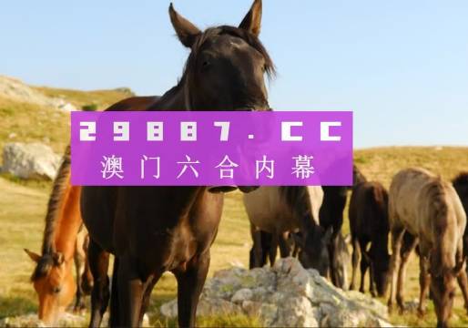 澳门管家婆-肖一码精选资料解析大全