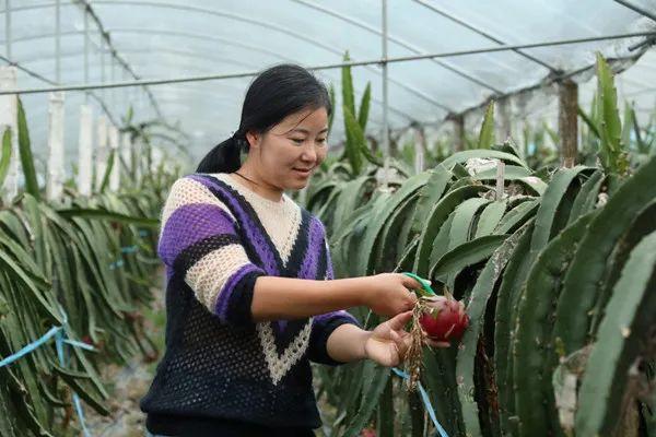 最新传奇微变，探索游戏世界的无限可能