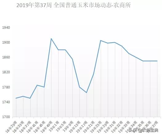 最新玉米价格及后市价格预测